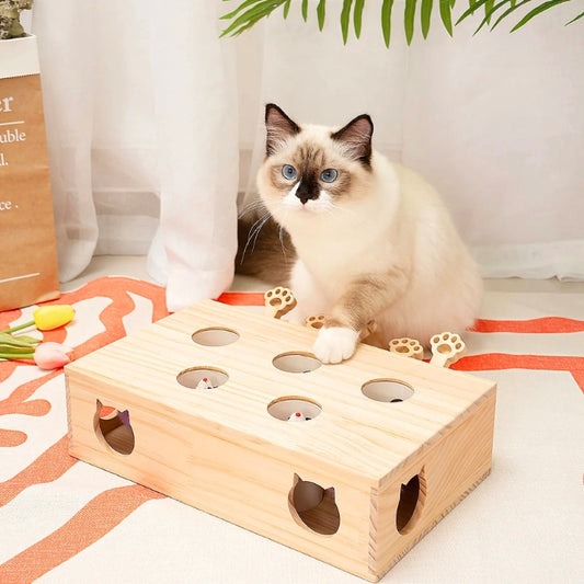 Catch & Play Maze™ The Cat Hunt Puzzle Toy