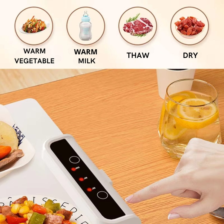 PlateSavor™ Electric Heating Tray